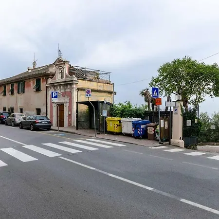 Hintown In Con Giardino