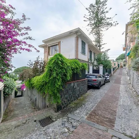 Hintown In Con Giardino *